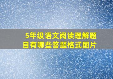 5年级语文阅读理解题目有哪些答题格式图片