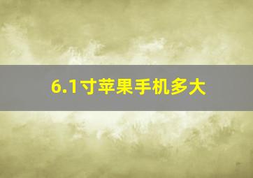 6.1寸苹果手机多大