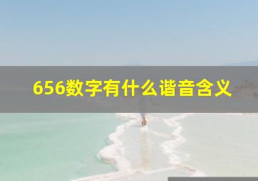 656数字有什么谐音含义