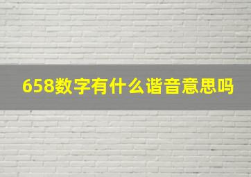 658数字有什么谐音意思吗