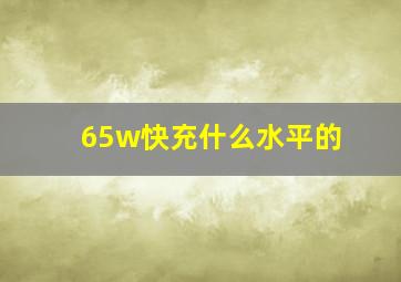 65w快充什么水平的