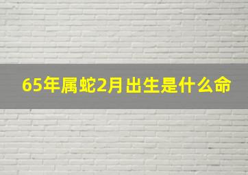 65年属蛇2月出生是什么命