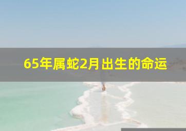 65年属蛇2月出生的命运