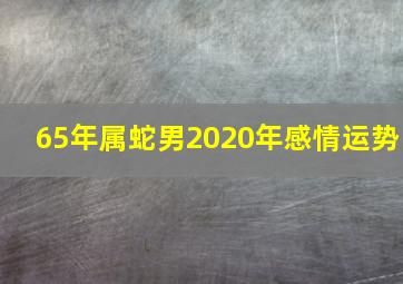 65年属蛇男2020年感情运势