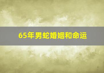 65年男蛇婚姻和命运