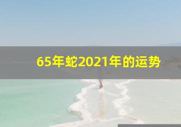 65年蛇2021年的运势