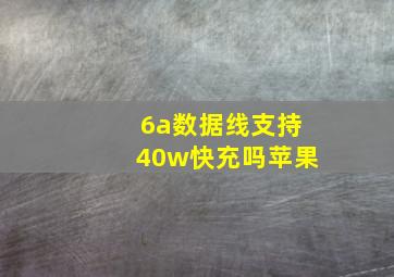 6a数据线支持40w快充吗苹果