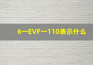 6一EVF一110表示什么