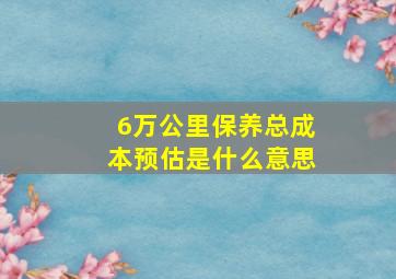 6万公里保养总成本预估是什么意思