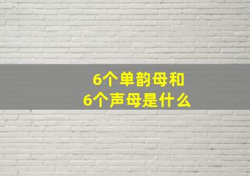 6个单韵母和6个声母是什么