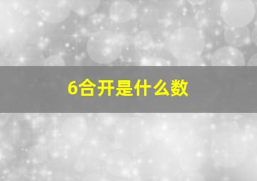 6合开是什么数