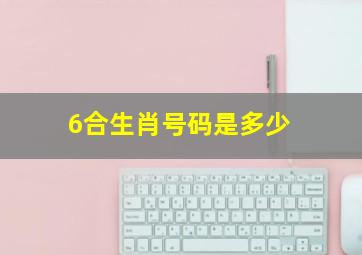 6合生肖号码是多少