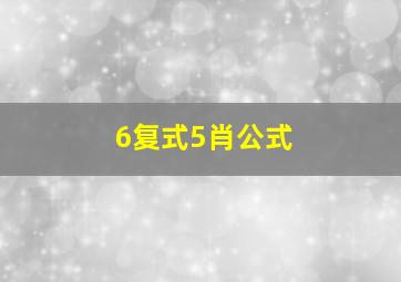 6复式5肖公式