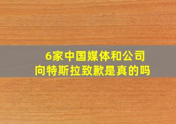 6家中国媒体和公司向特斯拉致歉是真的吗