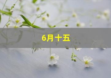 6月十五