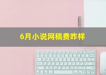 6月小说网稿费咋样