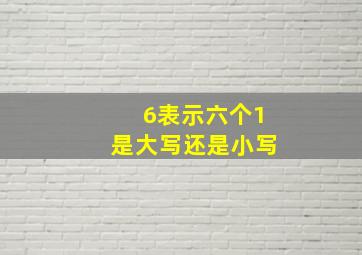 6表示六个1是大写还是小写