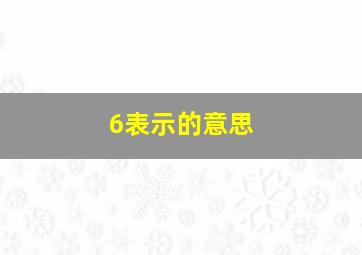 6表示的意思