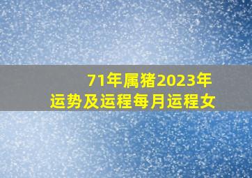 71年属猪2023年运势及运程每月运程女