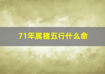 71年属猪五行什么命