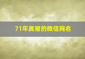 71年属猪的微信网名