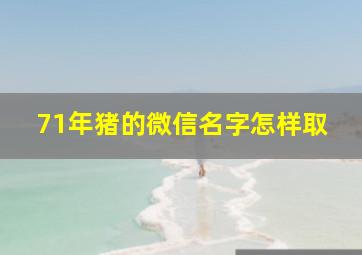 71年猪的微信名字怎样取