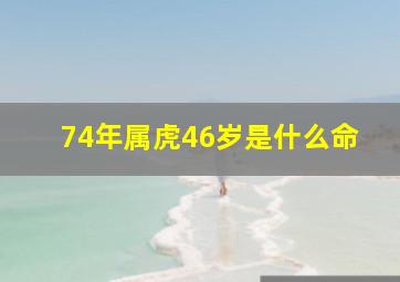 74年属虎46岁是什么命