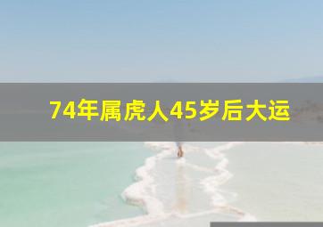 74年属虎人45岁后大运