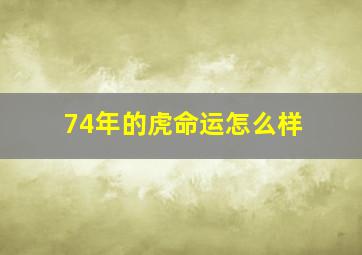 74年的虎命运怎么样