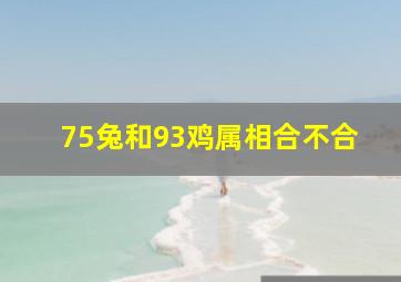 75兔和93鸡属相合不合