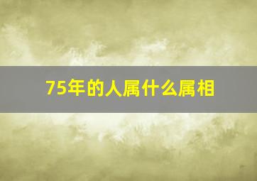 75年的人属什么属相