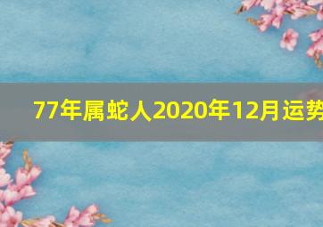 77年属蛇人2020年12月运势