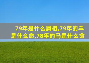 79年是什么属相,79年的羊是什么命,78年的马是什么命