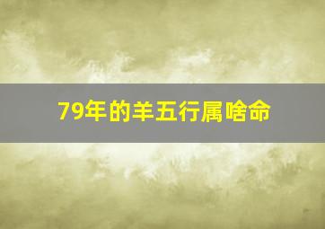 79年的羊五行属啥命