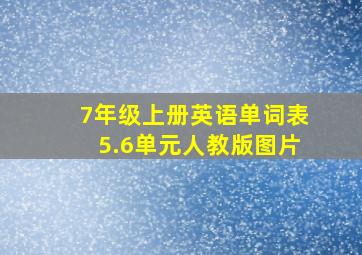 7年级上册英语单词表5.6单元人教版图片