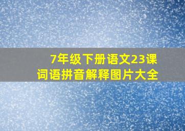 7年级下册语文23课词语拼音解释图片大全