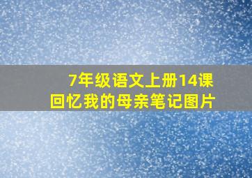 7年级语文上册14课回忆我的母亲笔记图片