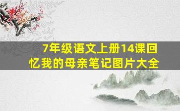 7年级语文上册14课回忆我的母亲笔记图片大全