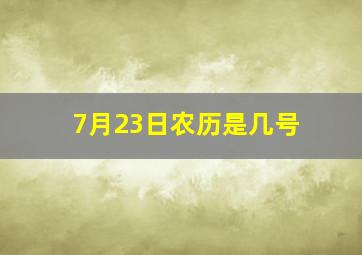 7月23日农历是几号