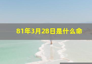 81年3月28日是什么命