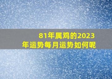 81年属鸡的2023年运势每月运势如何呢