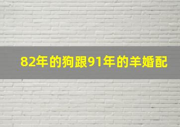 82年的狗跟91年的羊婚配