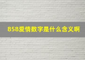 858爱情数字是什么含义啊