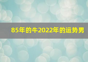 85年的牛2022年的运势男