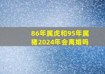 86年属虎和95年属猪2024年会离婚吗