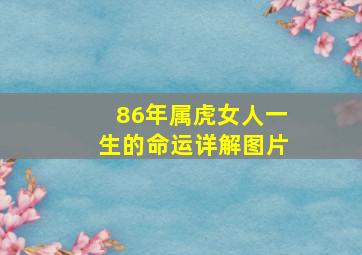 86年属虎女人一生的命运详解图片