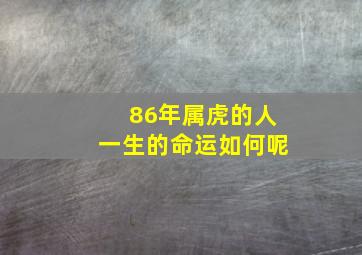 86年属虎的人一生的命运如何呢