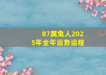 87属兔人2025年全年运势运程