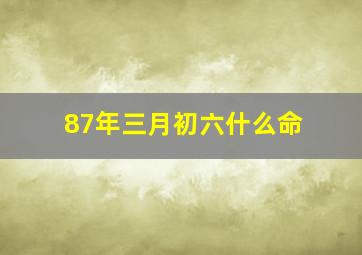 87年三月初六什么命