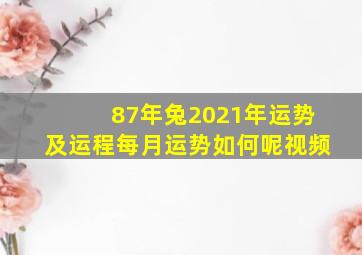 87年兔2021年运势及运程每月运势如何呢视频